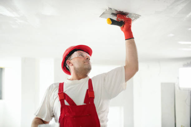 Best Ceiling Drywall Installation  in St Peter, MN